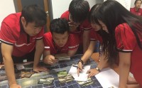 吉塔行星——目標與計劃管理