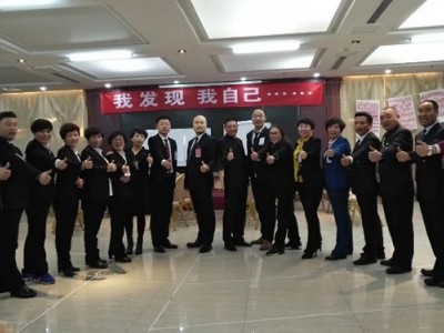 團隊黃金執行力 ——一大法則 三大基石 成就執行