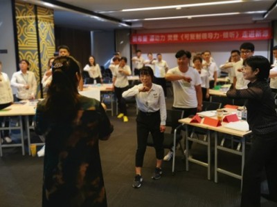 高績效團隊實戰六招致勝