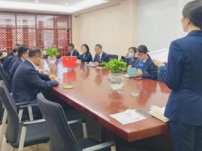職場精英職業化塑造