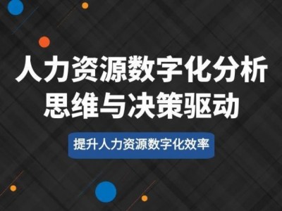 人力資源數字化分析思維與決策驅動