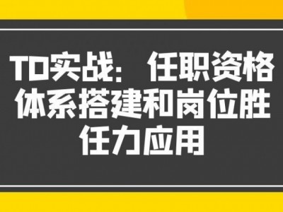 TD實戰：任職資格體系搭建和崗位勝任力應用